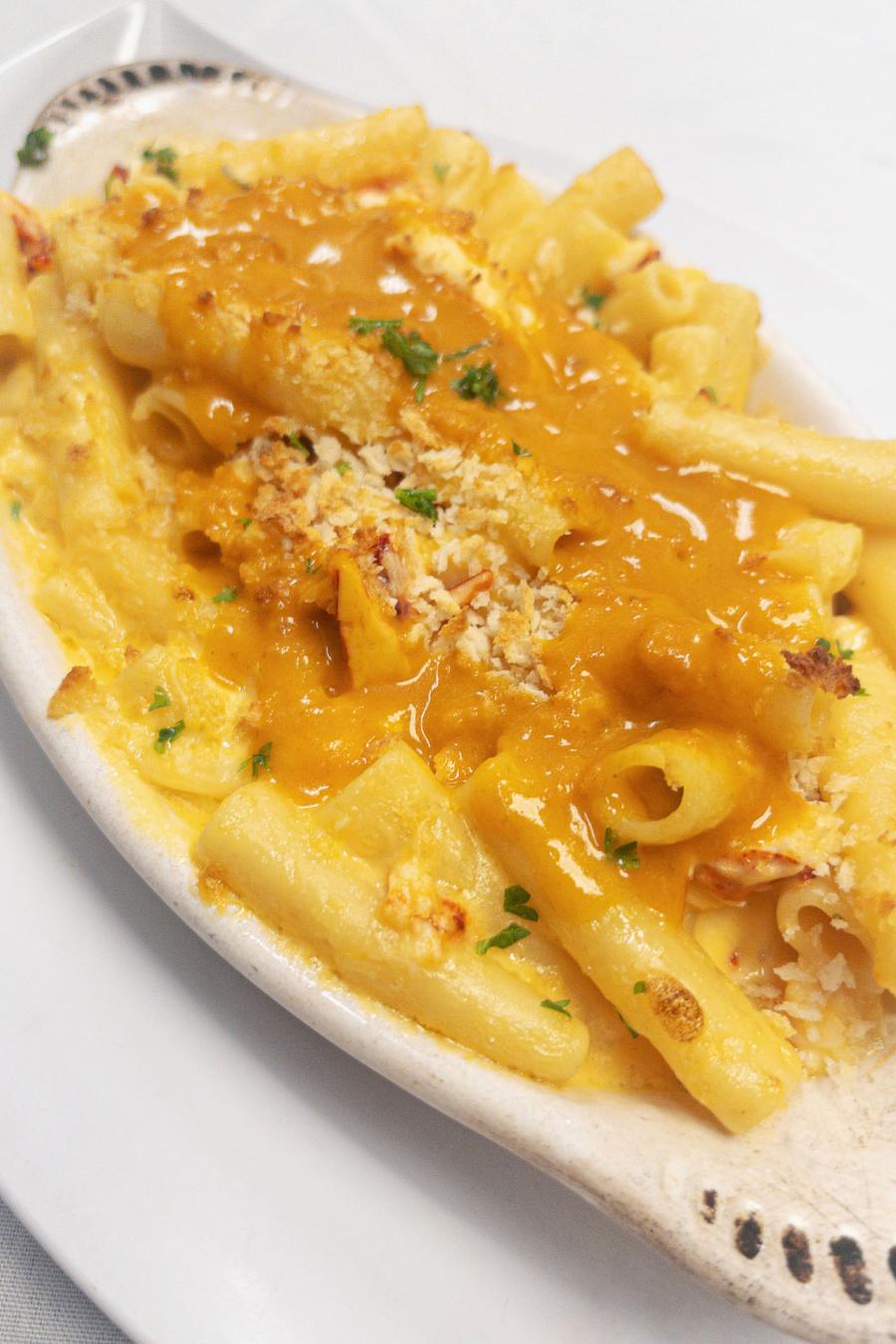 Pasta Dishes - Lobster Mac n' Cheese