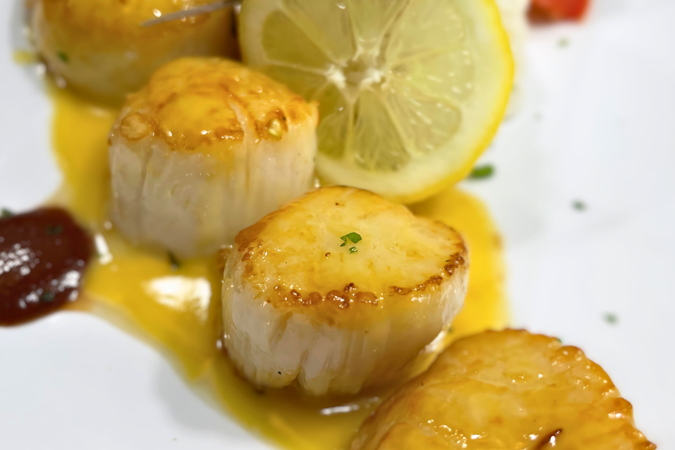 Sea Scallops